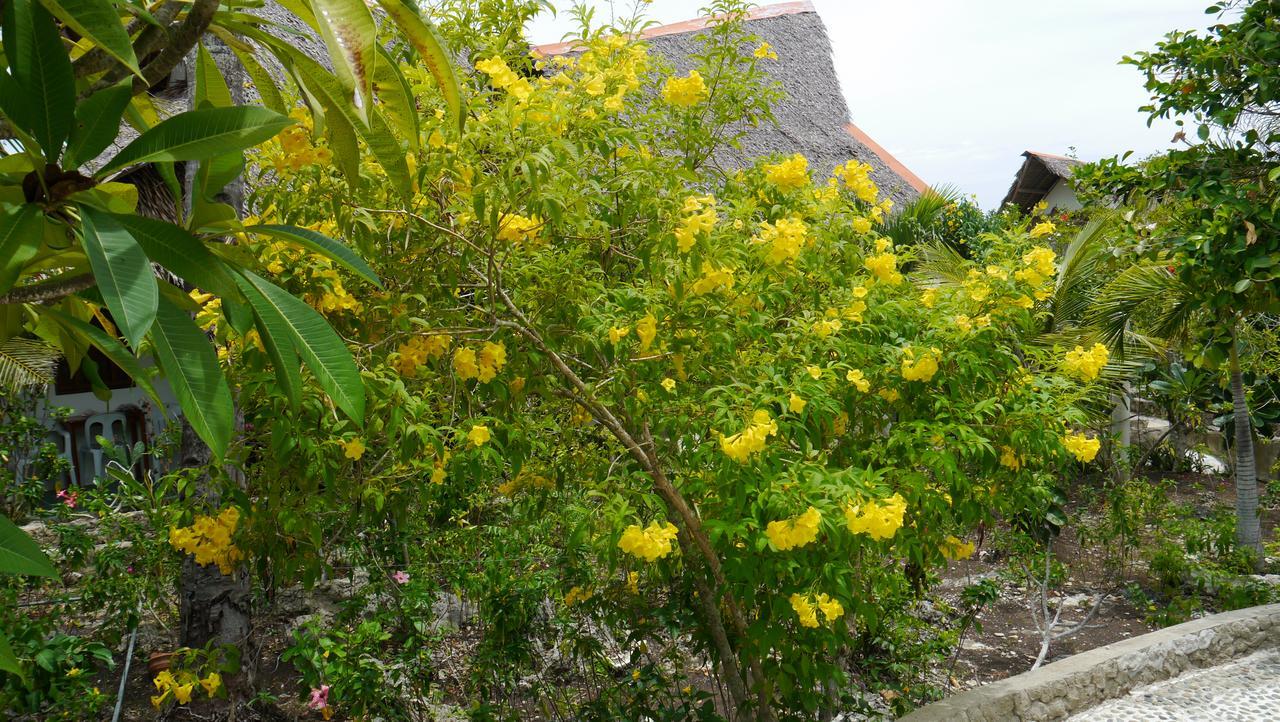 Moalboal T Breeze Coastal Resort Exteriér fotografie